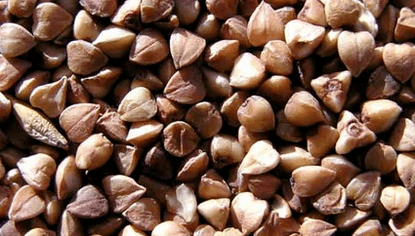 Pisua galtzeko Porridge Buckwheat Porridge